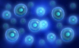 The Difference Between PRP Therapy and Stem Cell Therapy