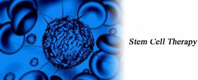 Important Sleep for Stem Cells too