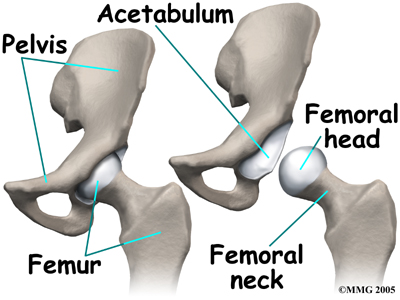 Hip Pain Causes & Treatment