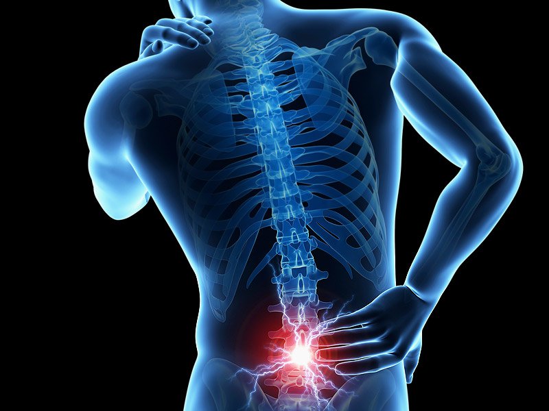 Low Back Pain, A Universal Human Experience? - Michigan Sports and Spine  Center