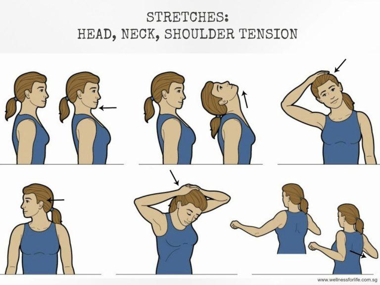 neck stretches | Michigan Sports and Spine Center