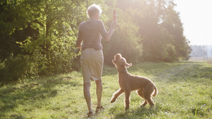 Walking dog with knee pain.